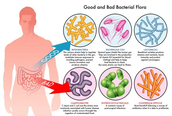 Can Probiotics Help My Eczema Symptoms? Exploring the Gut-Skin Connection