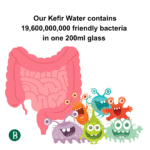 Kefir Water | Original Flavour | 1 Litre - Image 3