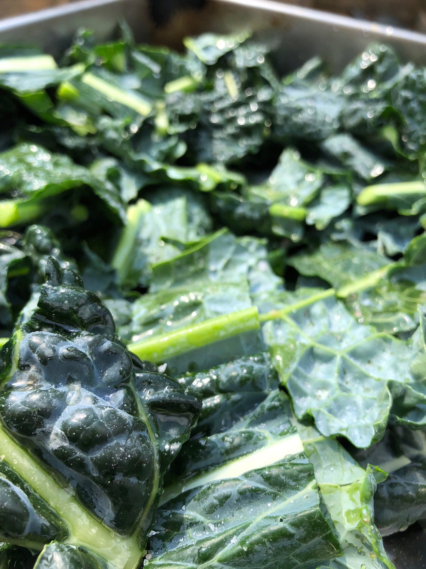 Crispy Kale